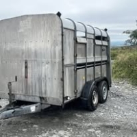 559541115_1399170728881603_5759959771775631711_n