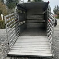 560450119_1399170742214935_5247420365741709914_n