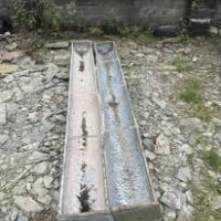 566221423_1403628698435806_3651742184170866559_n