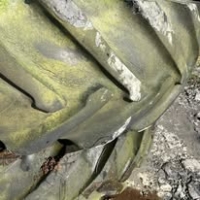 646008977_1523233333142008_6637476161808867628_n